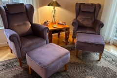 J-2-wunderschöne-Ohrensessel